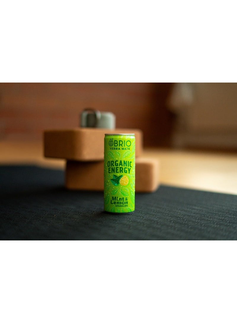 BRIO Yerba Mate, Organic Energy Drink - 160 mg Natural Plant Based Caffeine, Lemon & Mint (250ml x Pack of 12) - Image 4